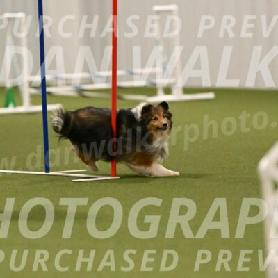 Strut-Melanie-Robison-08944