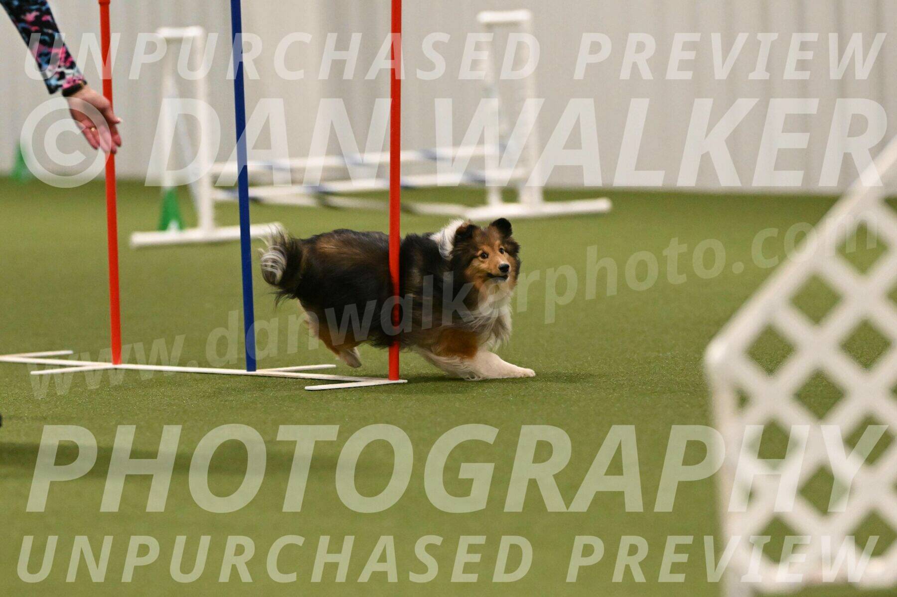 Strut-Melanie-Robison-08944