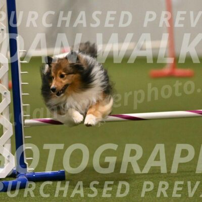 Strut-Melanie-Robison-08946