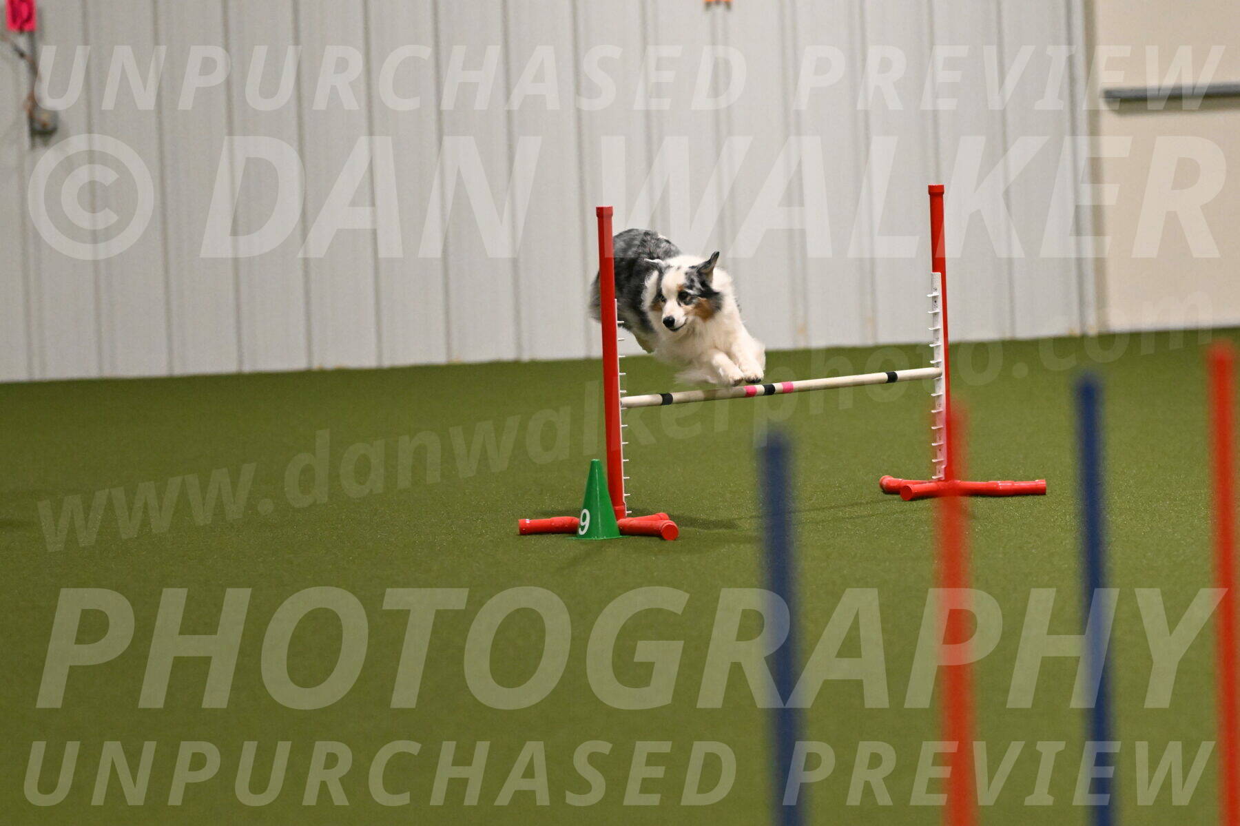 Sunny-Claudia-Brydon-09225