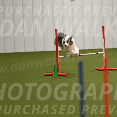 Sunny-Claudia-Brydon-09225