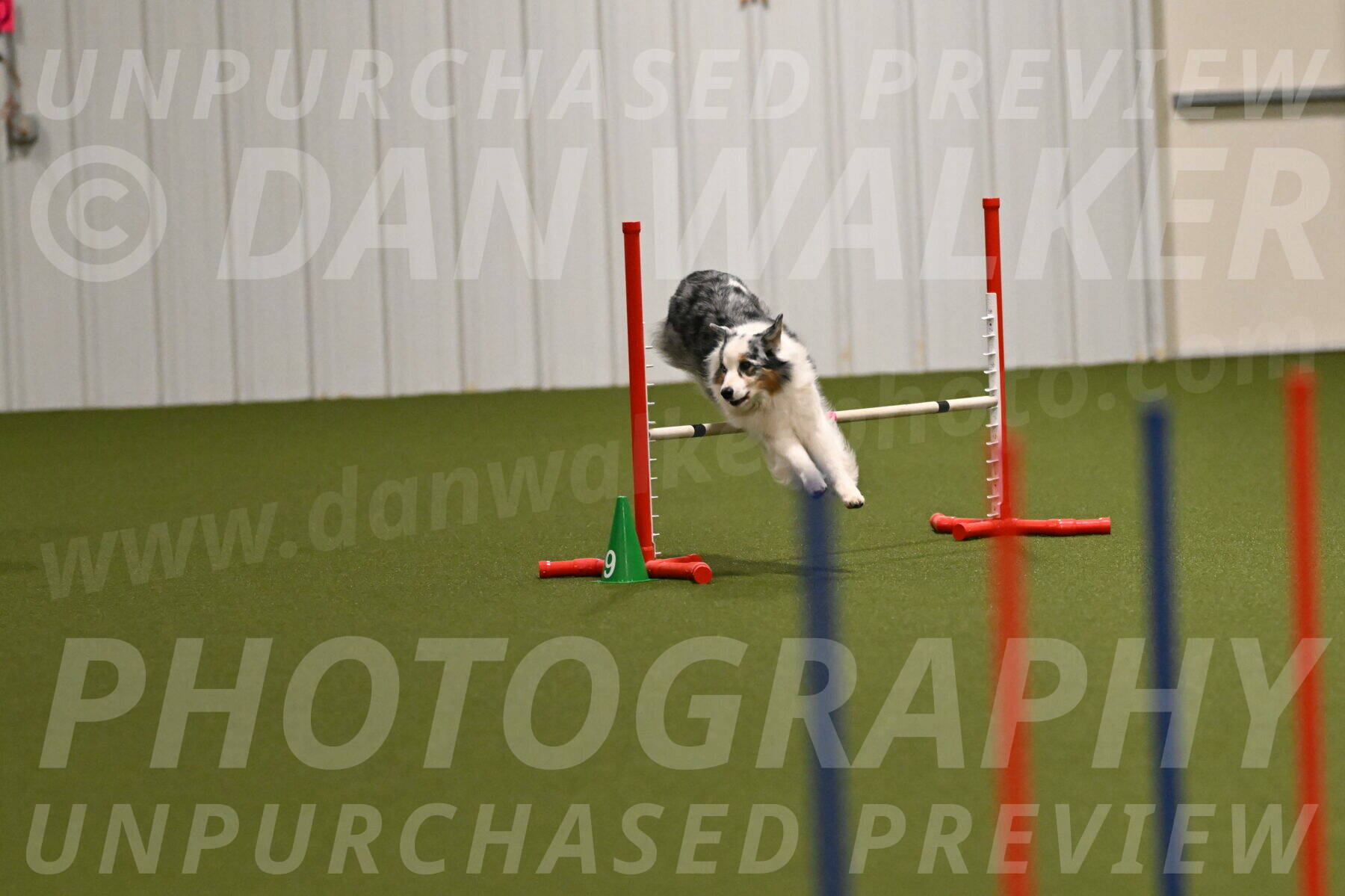 Sunny-Claudia-Brydon-09226