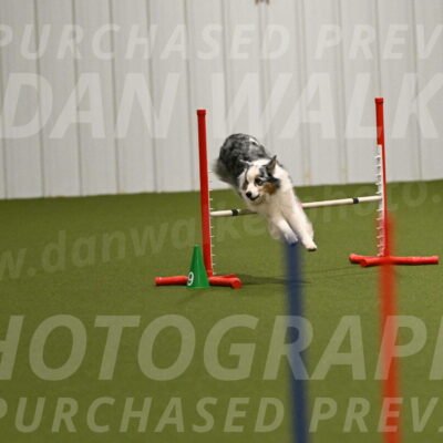 Sunny-Claudia-Brydon-09226