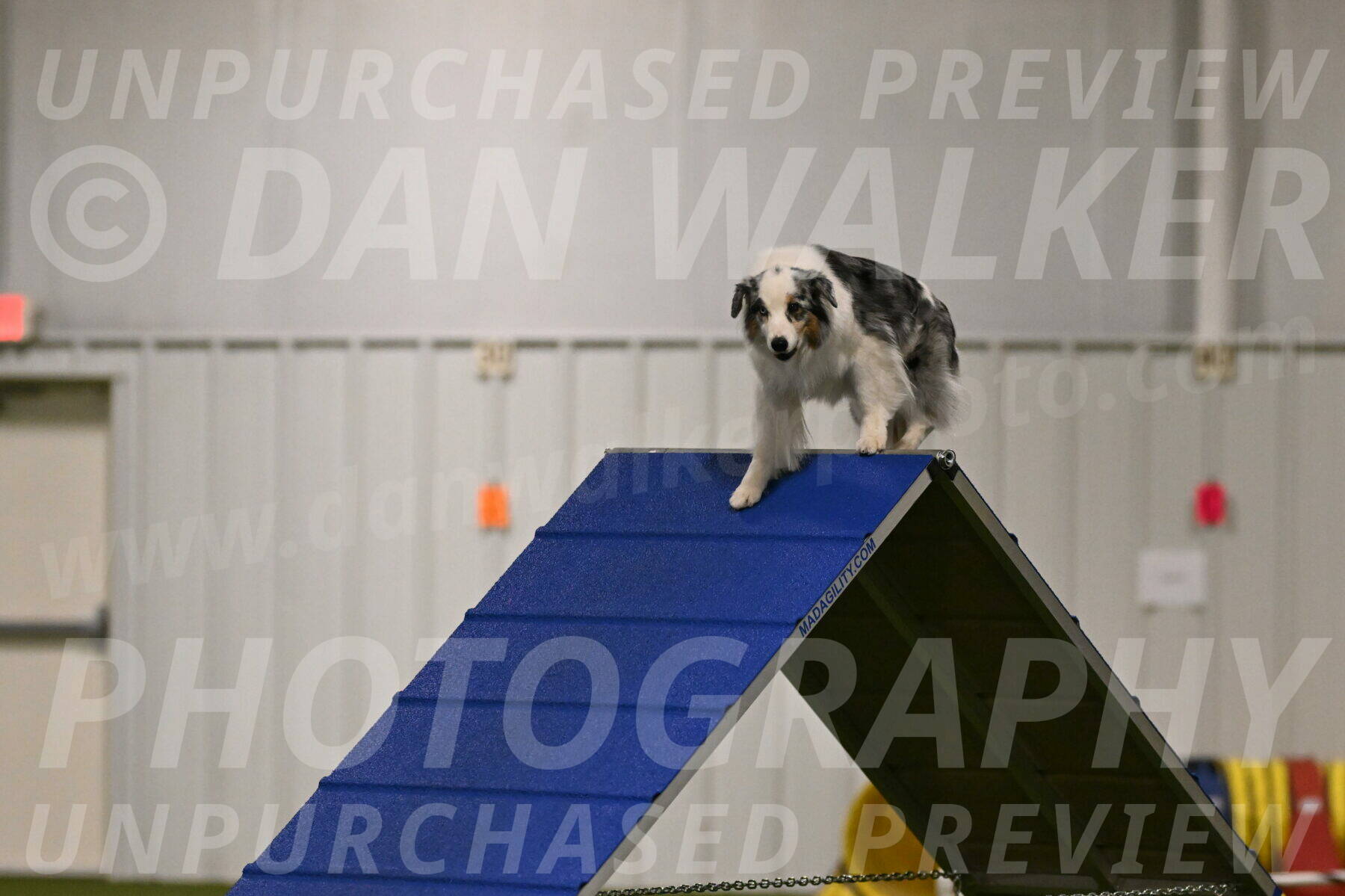 Sunny-Claudia-Brydon-09227