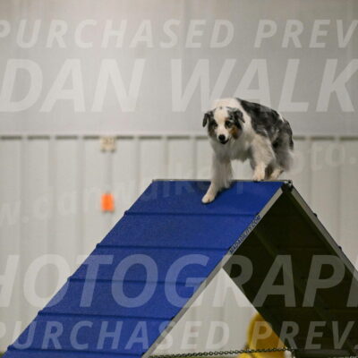 Sunny-Claudia-Brydon-09227