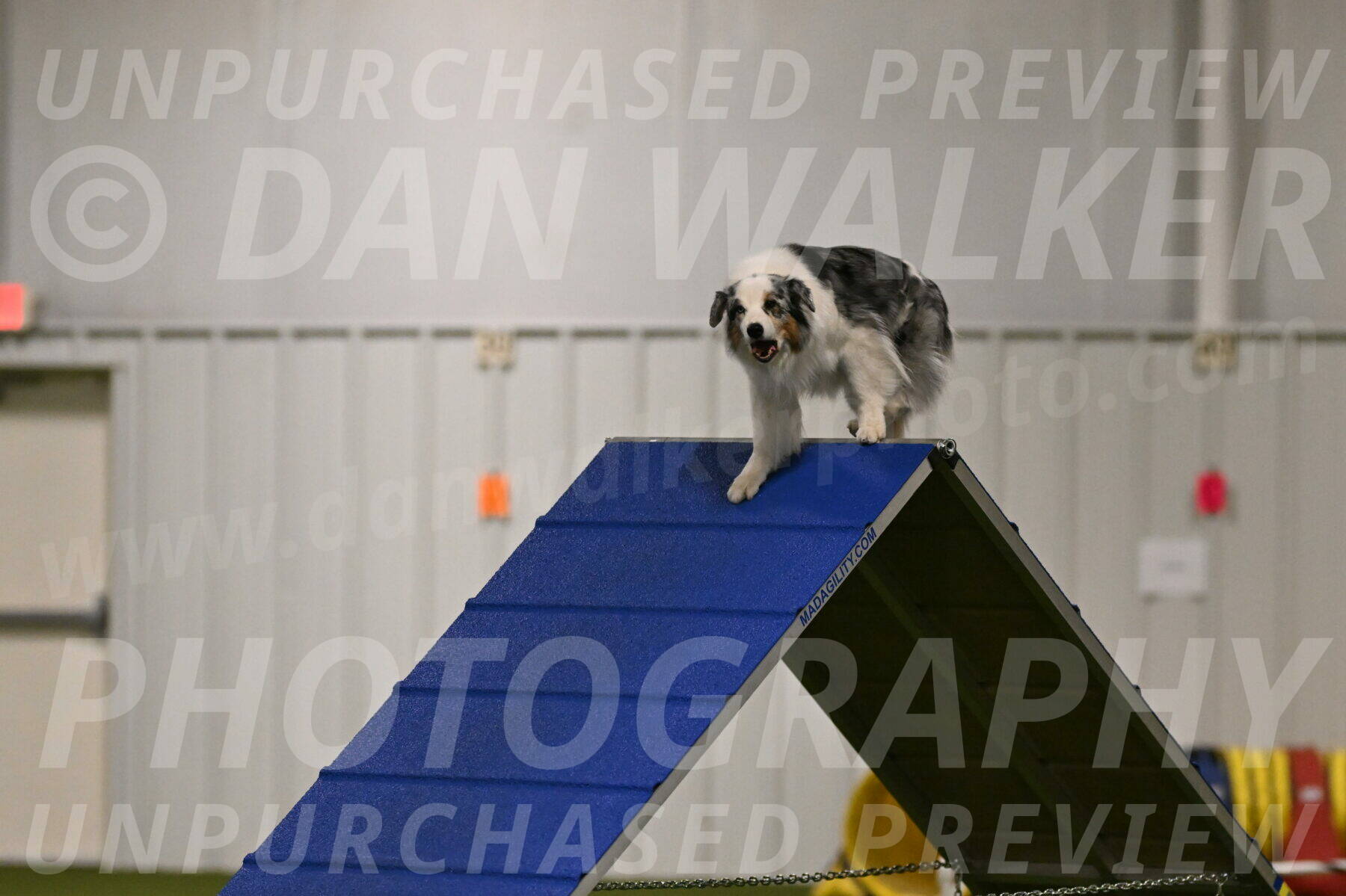 Sunny-Claudia-Brydon-09228