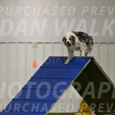 Sunny-Claudia-Brydon-09228