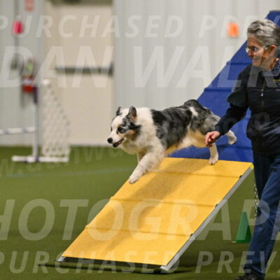 Sunny-Claudia-Brydon-09229