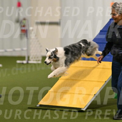 Sunny-Claudia-Brydon-09230