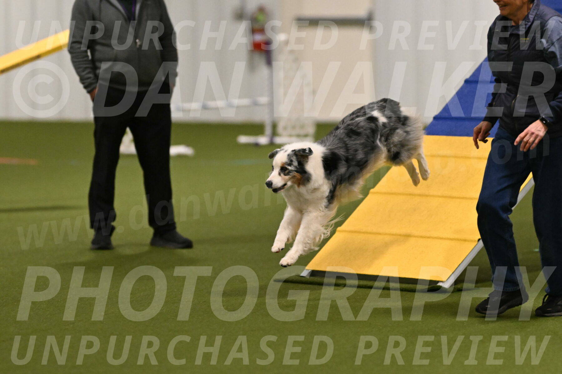 Sunny-Claudia-Brydon-09231