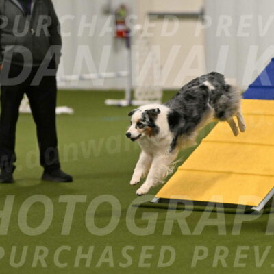 Sunny-Claudia-Brydon-09231