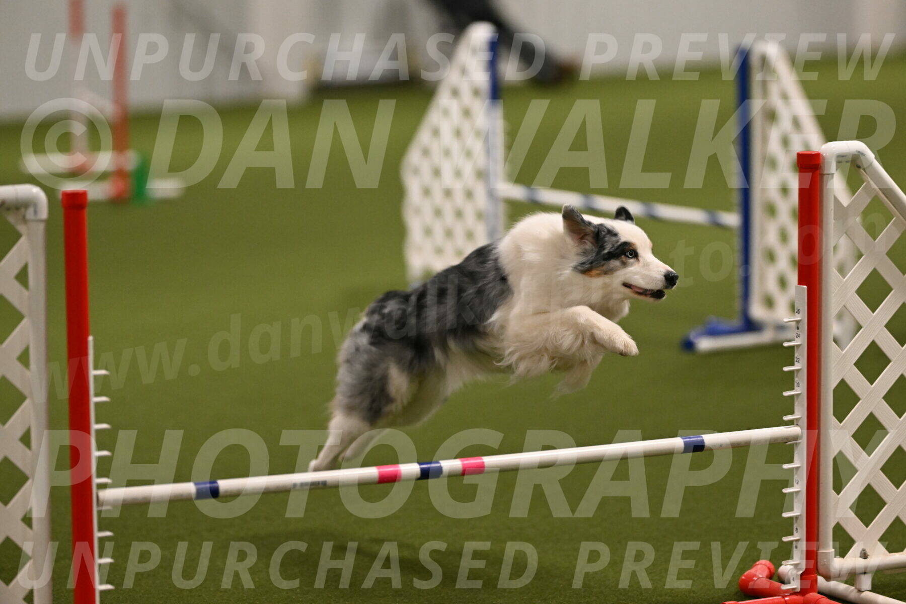 Sunny-Claudia-Brydon-09232