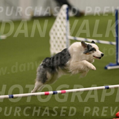 Sunny-Claudia-Brydon-09232