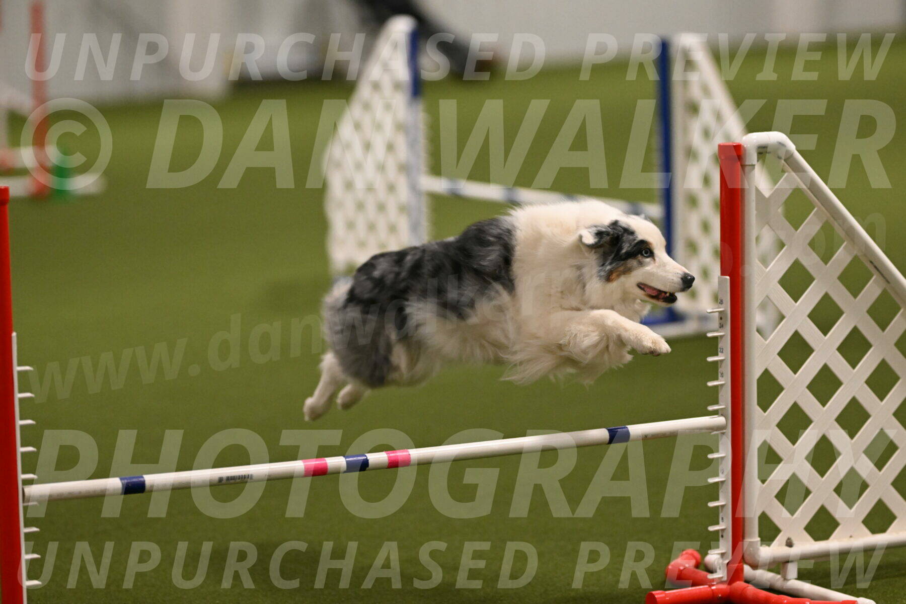 Sunny-Claudia-Brydon-09233