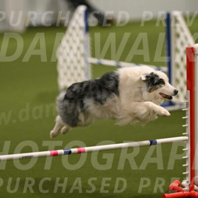 Sunny-Claudia-Brydon-09233