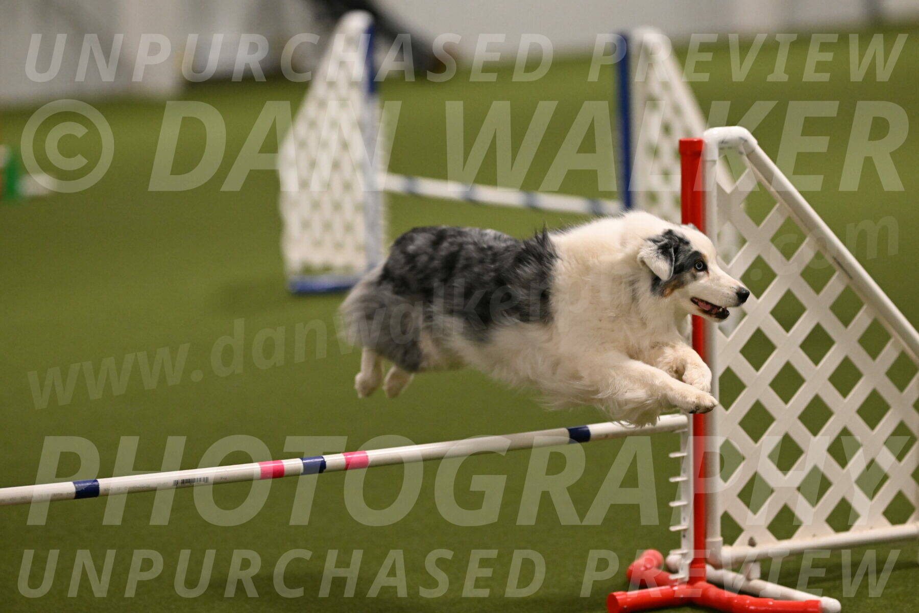 Sunny-Claudia-Brydon-09234