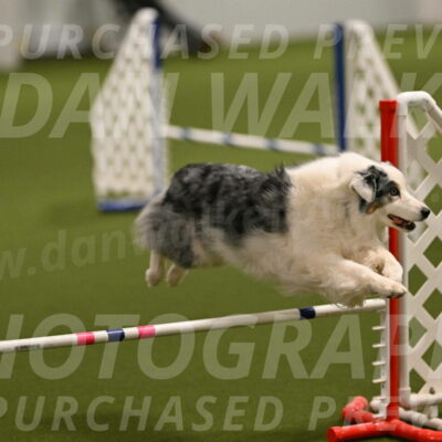 Sunny-Claudia-Brydon-09234