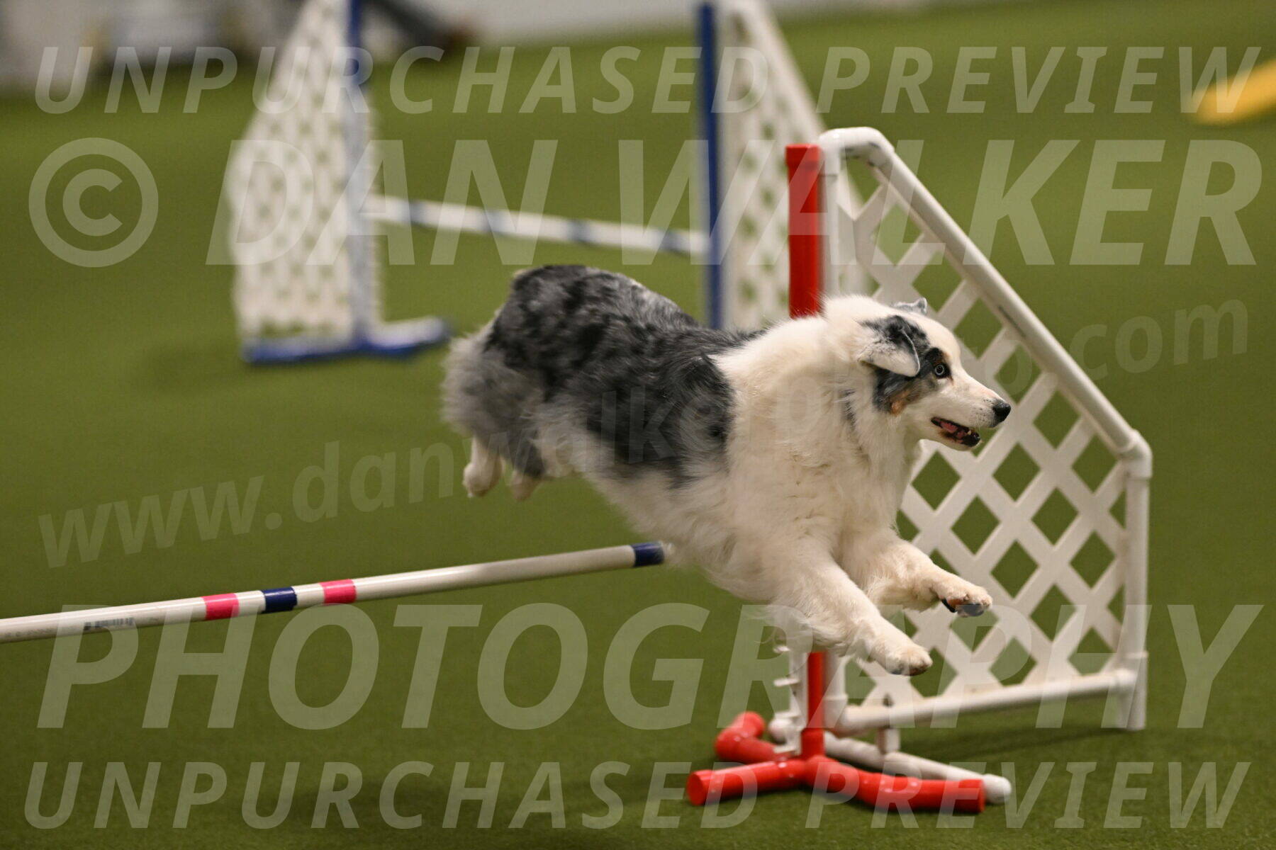 Sunny-Claudia-Brydon-09235