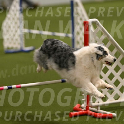 Sunny-Claudia-Brydon-09235