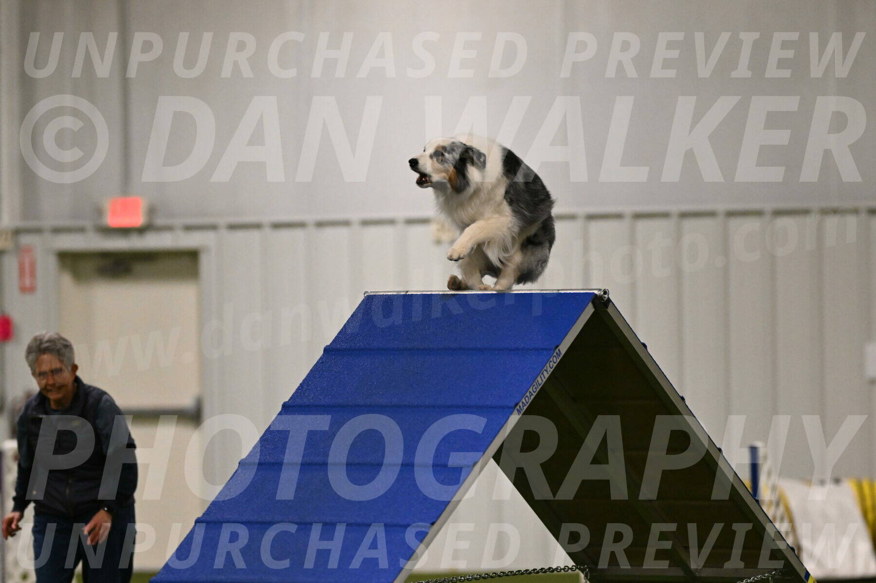 Sunny-Claudia-Brydon-09236