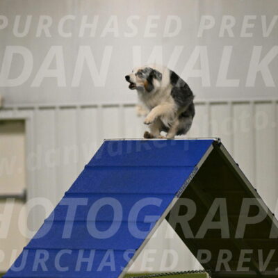 Sunny-Claudia-Brydon-09236