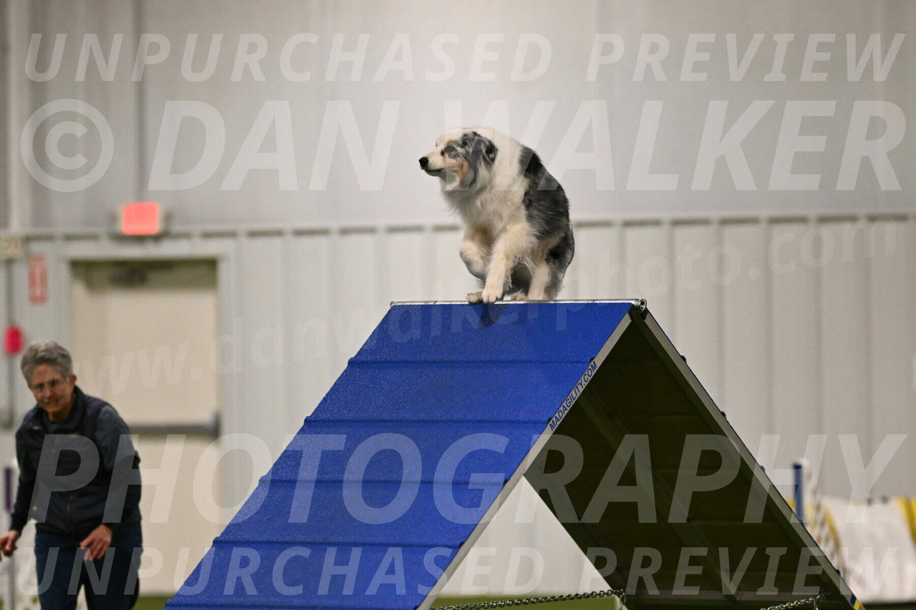 Sunny-Claudia-Brydon-09237