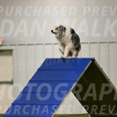 Sunny-Claudia-Brydon-09237