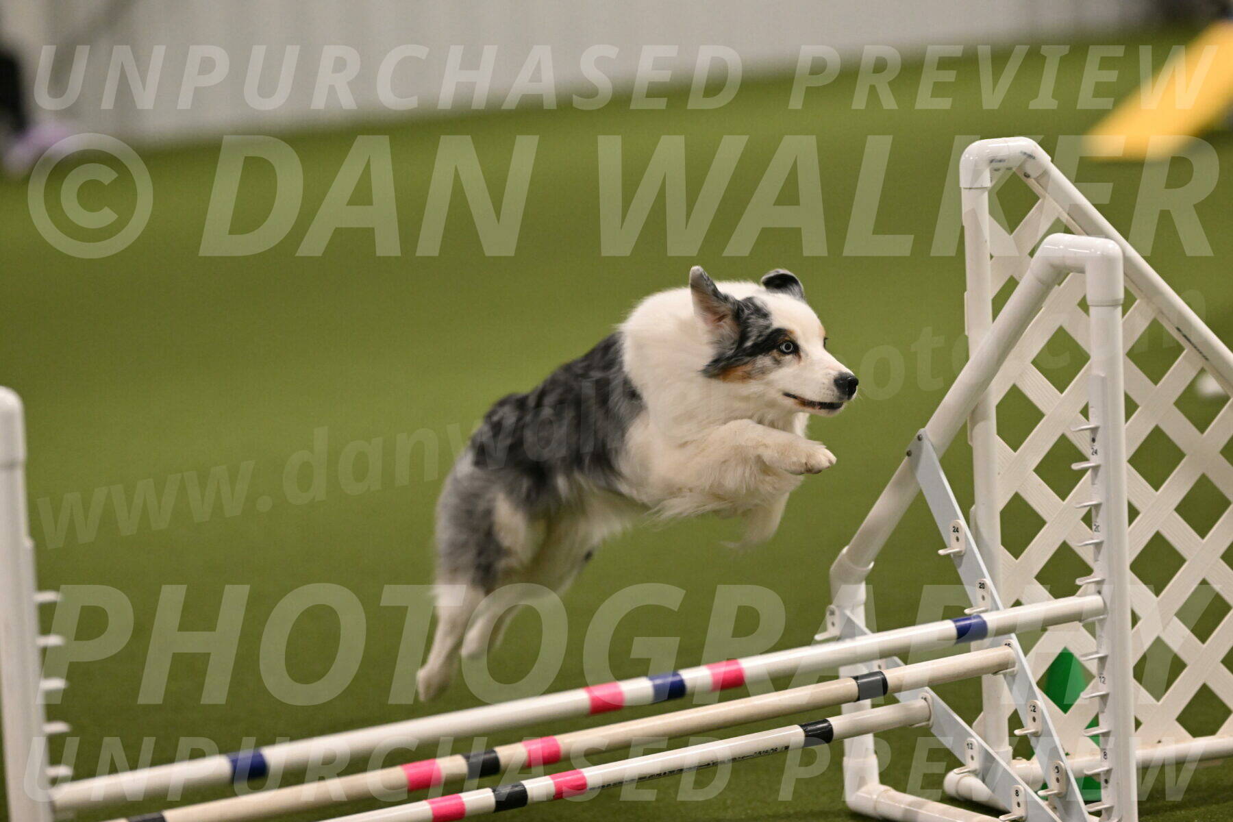 Sunny-Claudia-Brydon-09240