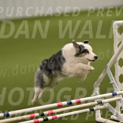 Sunny-Claudia-Brydon-09240