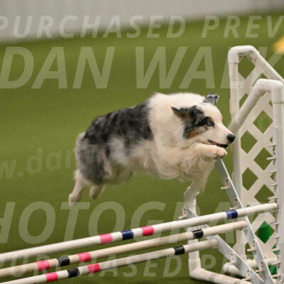 Sunny-Claudia-Brydon-09241