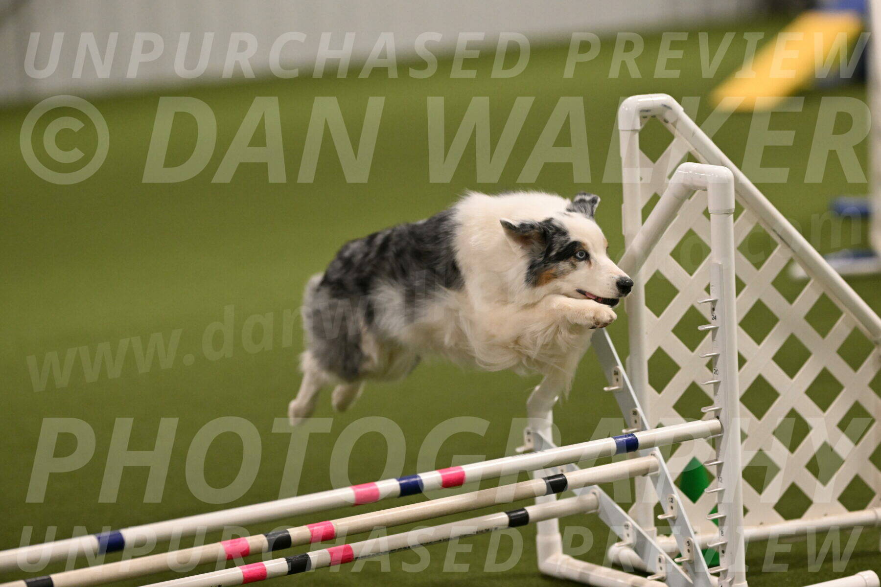 Sunny-Claudia-Brydon-09241