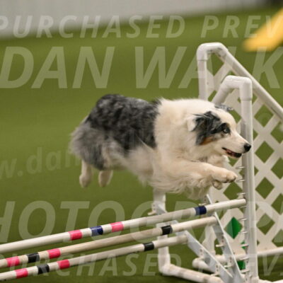 Sunny-Claudia-Brydon-09242