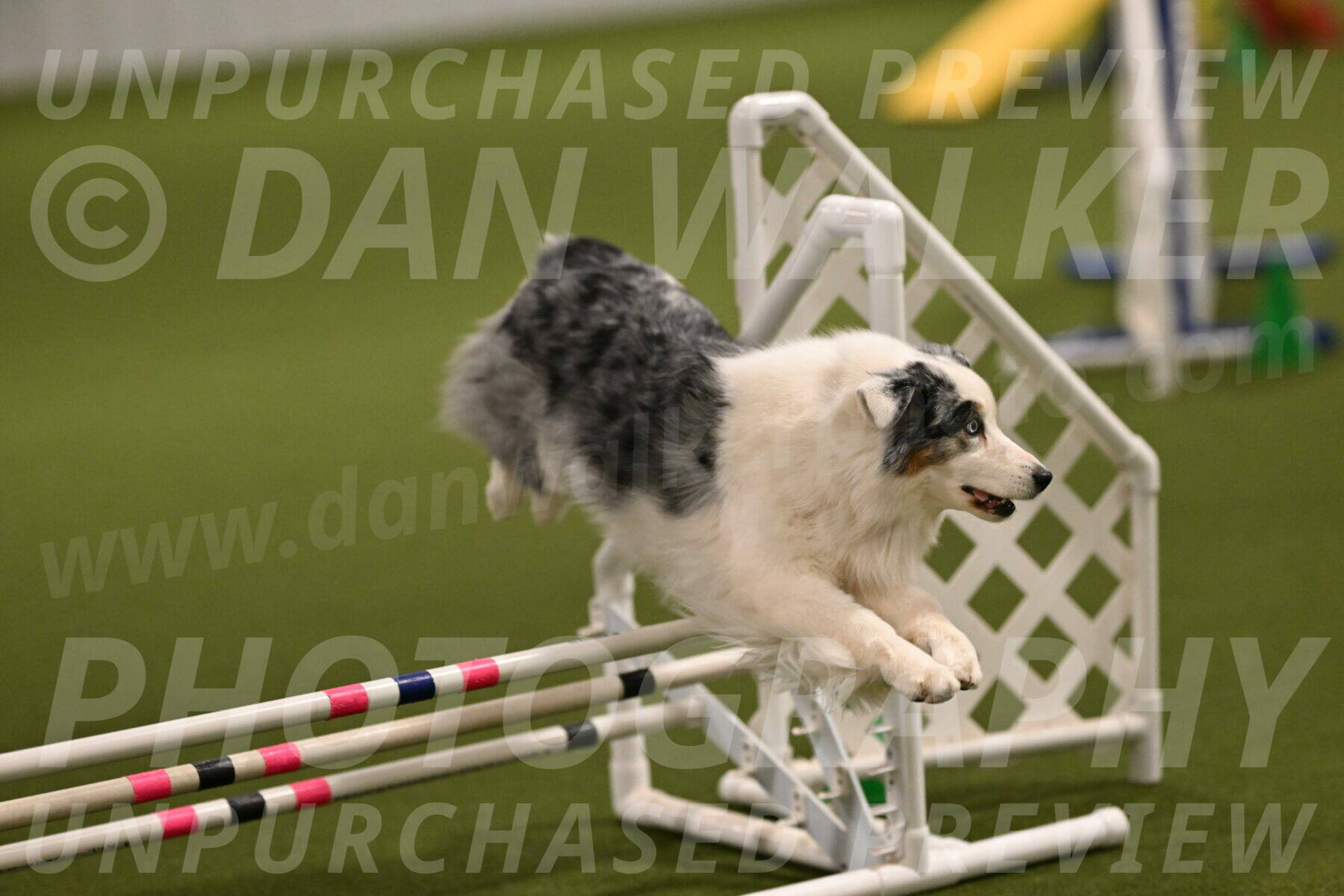 Sunny-Claudia-Brydon-09243