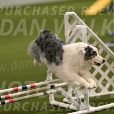 Sunny-Claudia-Brydon-09243