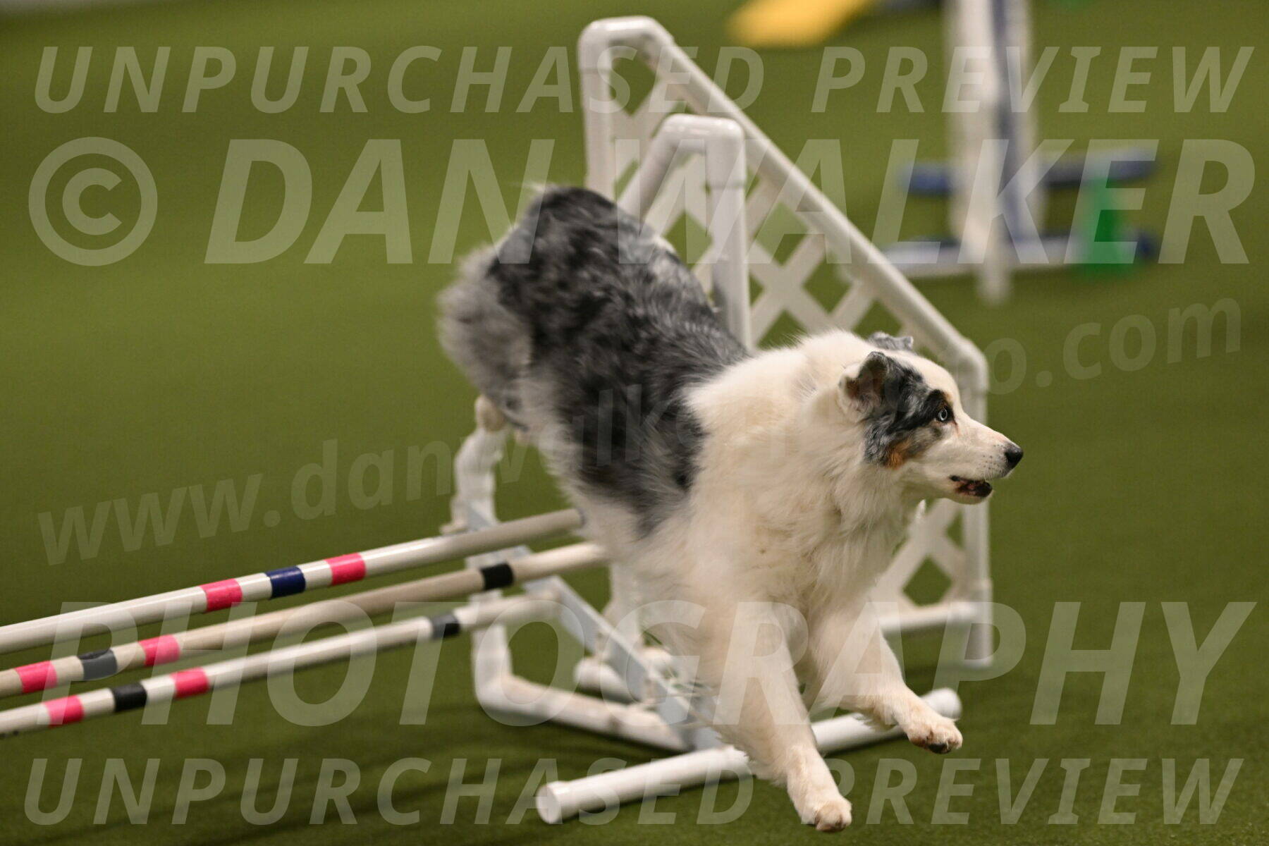 Sunny-Claudia-Brydon-09244