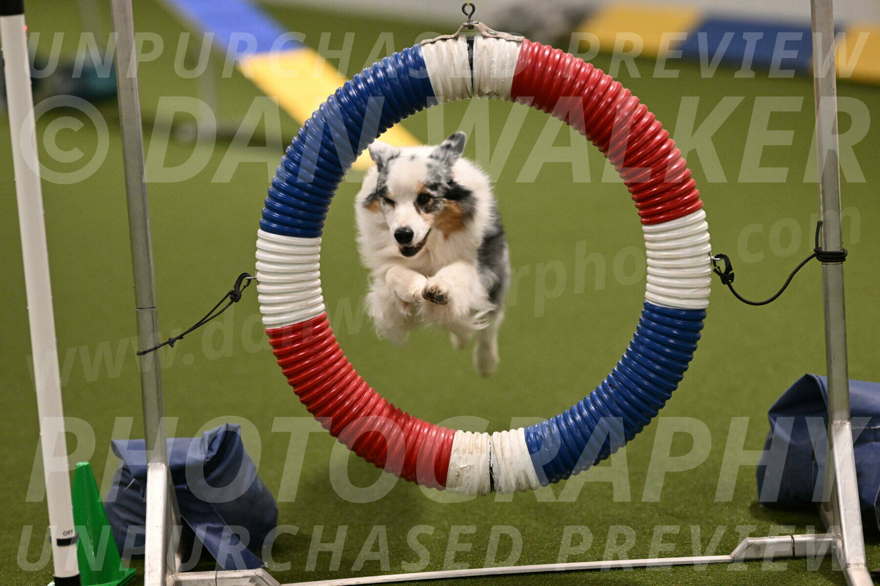 Sunny-Claudia-Brydon-09245