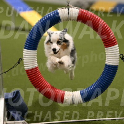 Sunny-Claudia-Brydon-09245