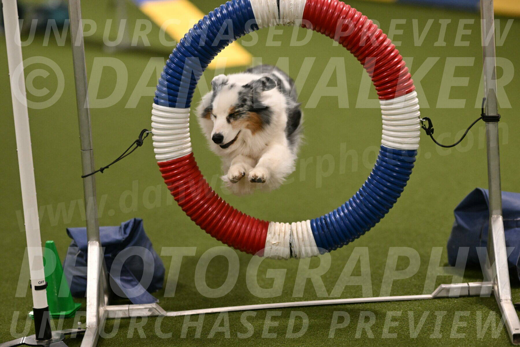 Sunny-Claudia-Brydon-09246