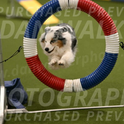 Sunny-Claudia-Brydon-09246