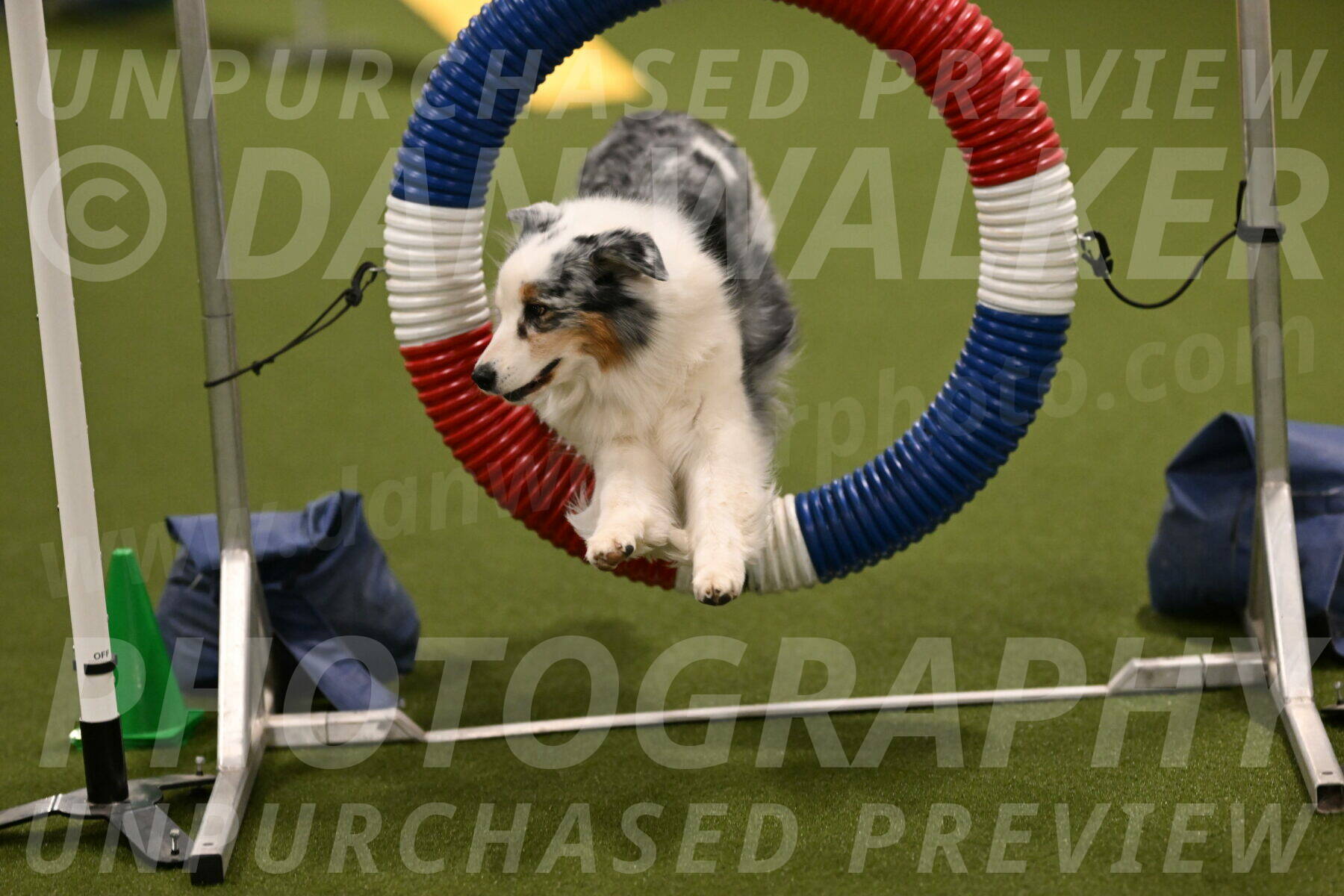 Sunny-Claudia-Brydon-09247