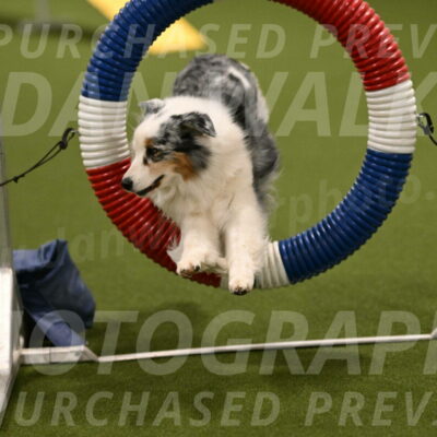 Sunny-Claudia-Brydon-09247