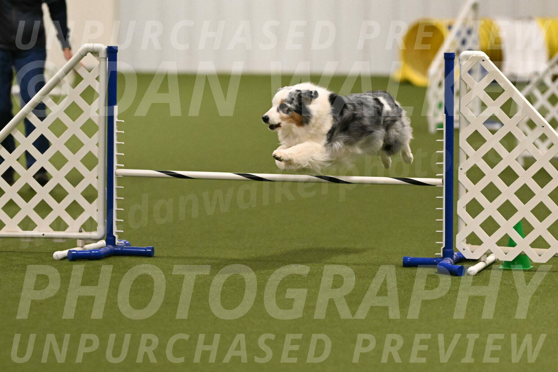 Sunny-Claudia-Brydon-09248