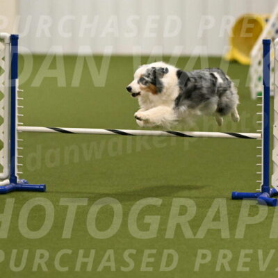 Sunny-Claudia-Brydon-09248