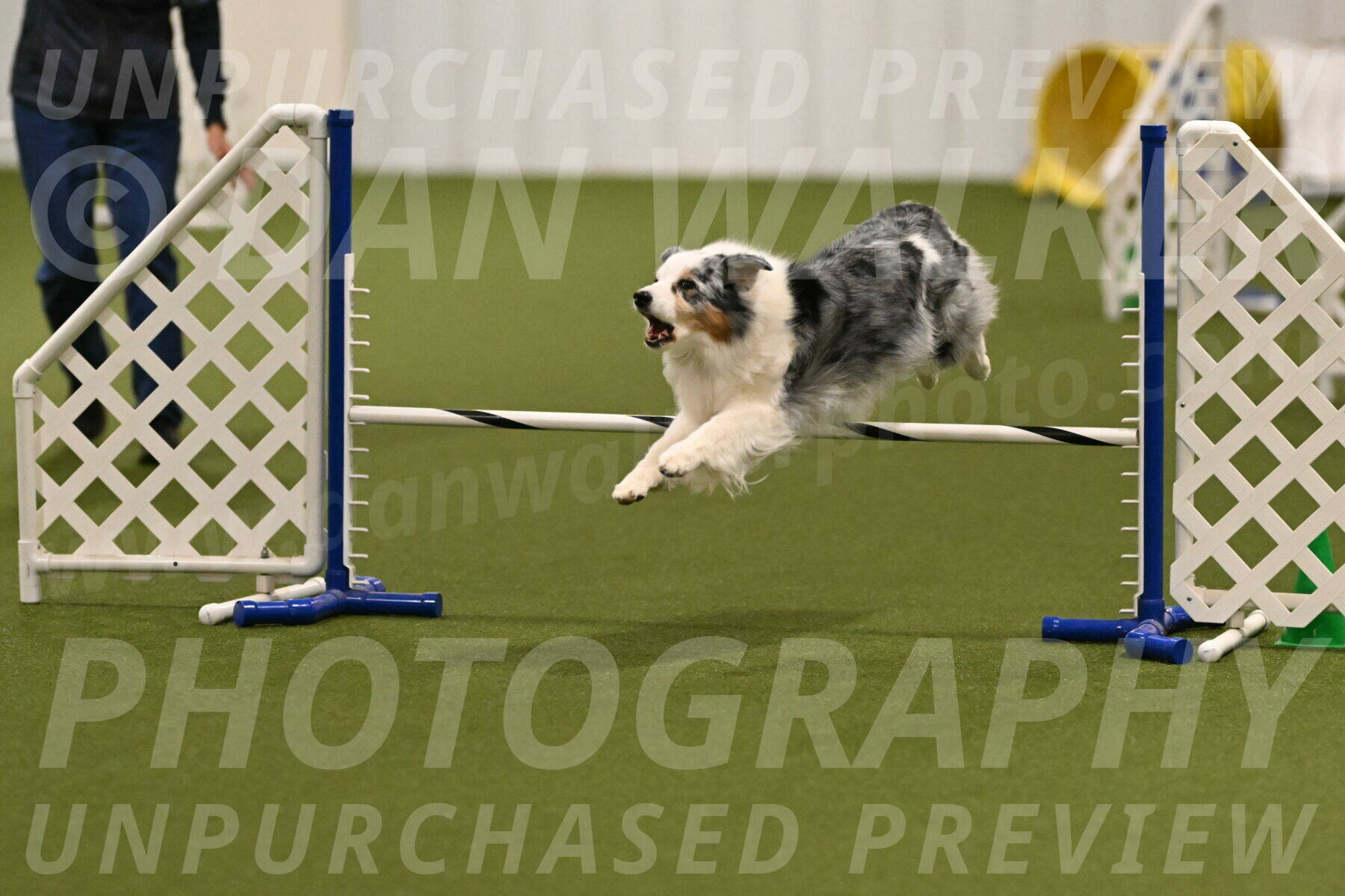 Sunny-Claudia-Brydon-09249