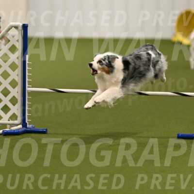 Sunny-Claudia-Brydon-09249