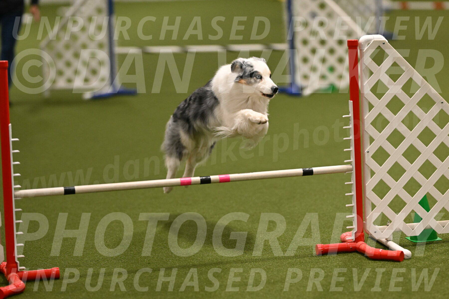 Sunny-Claudia-Brydon-09250