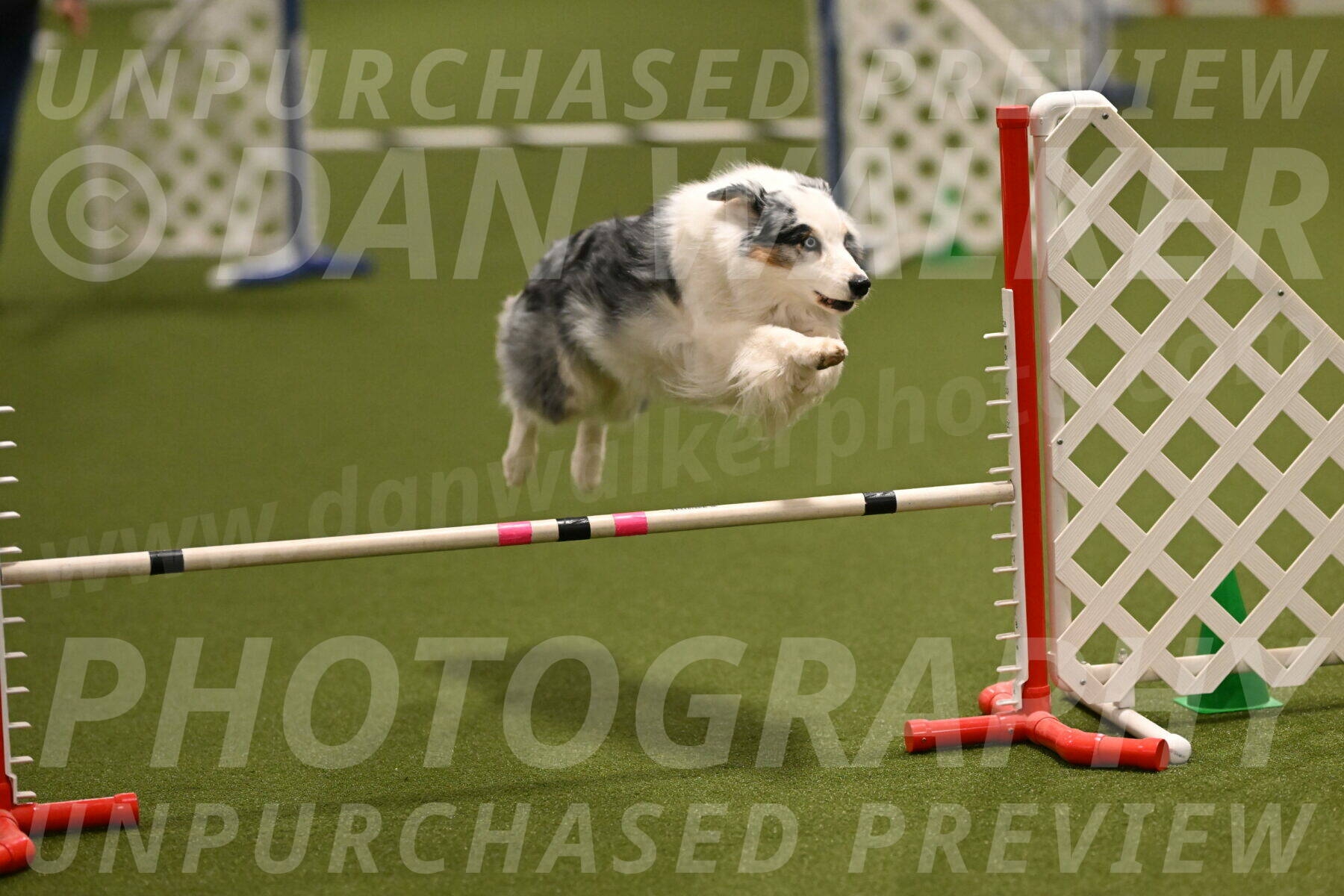 Sunny-Claudia-Brydon-09251