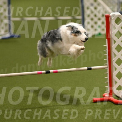 Sunny-Claudia-Brydon-09251