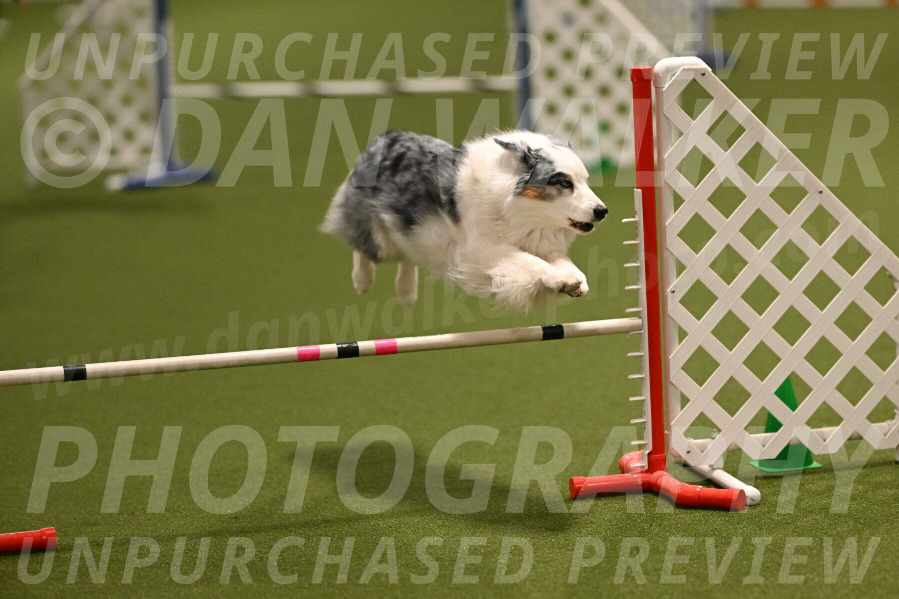 Sunny-Claudia-Brydon-09252