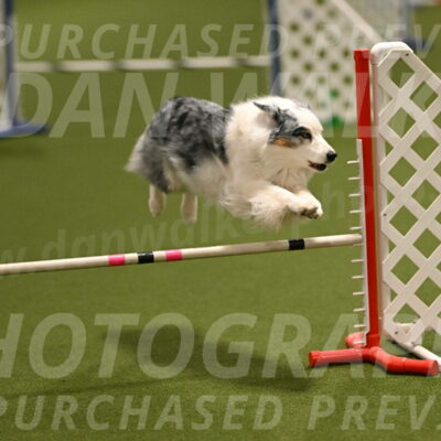 Sunny-Claudia-Brydon-09252